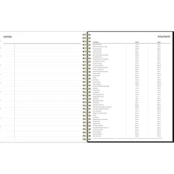 2025 Blue Sky Leafy Lounge 8.5