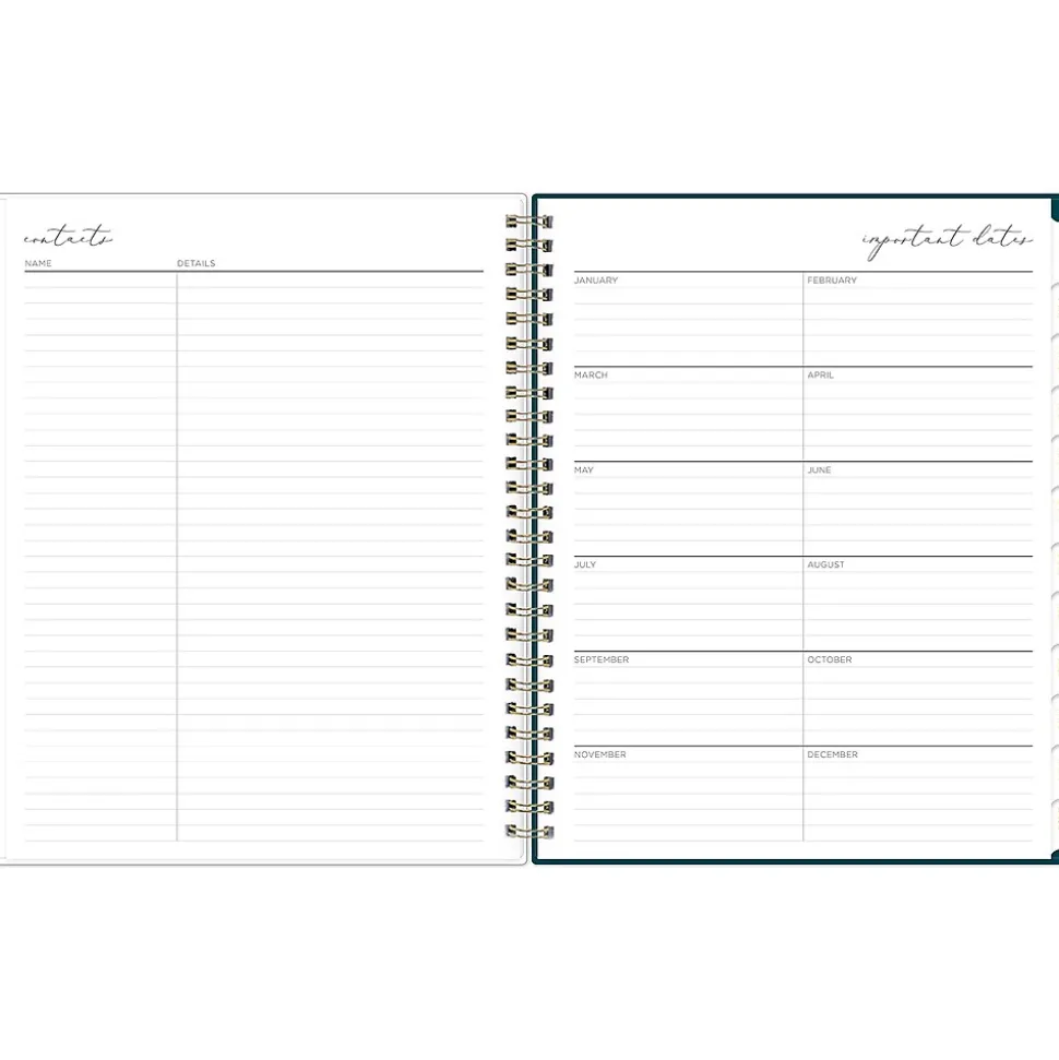 2025 Blue Sky Life-Note It Marina 7" x 9" Weekly & Monthly Planner, Plastic Cover, Blue (139480-25)