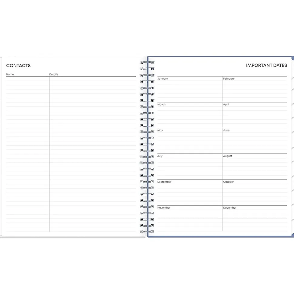 2025 Blue Sky Lindley 8" x 10" Monthly Planner, Plastic Cover, Multicolor (101582-25)