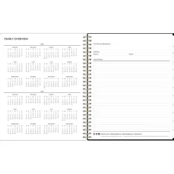 2025 Blue Sky Lolani 8