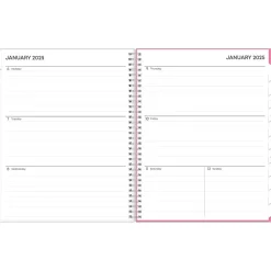 2025 Blue Sky Lucidity 8.5" x 11" Weekly & Monthly Planner, Plastic Cover, Pink/Blue (150785)