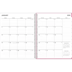 2025 Blue Sky Lucidity 8.5