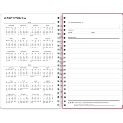 2025 Blue Sky Lucidity 5