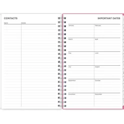 2025 Blue Sky Lucidity 5