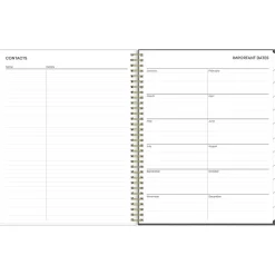 2025 Blue Sky Makeera 8.5