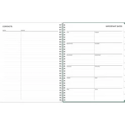 2024-2025 Blue Sky Maquilla 8.5