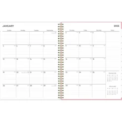 2025 Blue Sky Mimi Pink 8.5