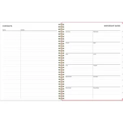 2025 Blue Sky Mimi Pink 8.5