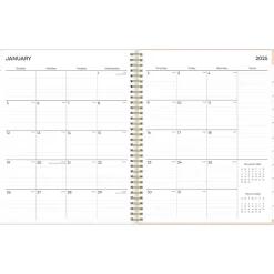 2025 Blue Sky Natalya 8.5