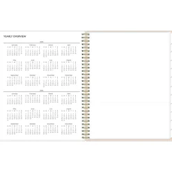 2025 Blue Sky Natalya 8.5