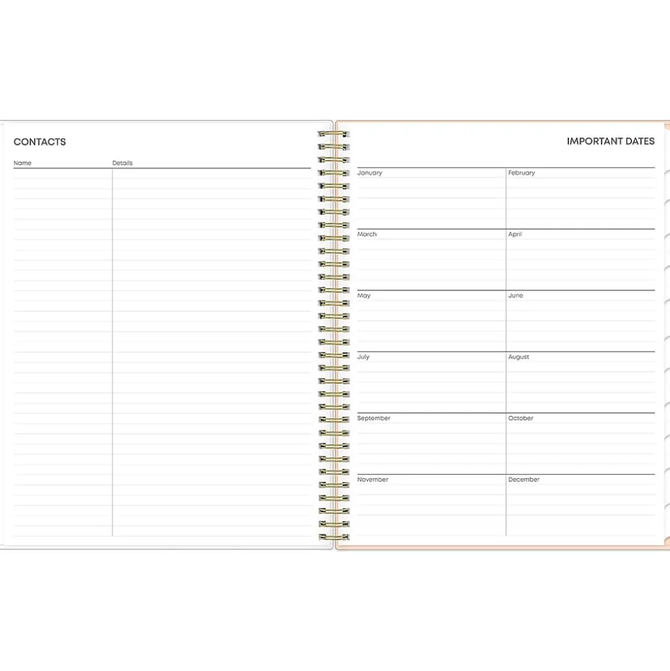 2025 Blue Sky Natalya 8.5" x 11" Weekly & Monthly Planner, Plastic Cover, Pink/White (148764-25)