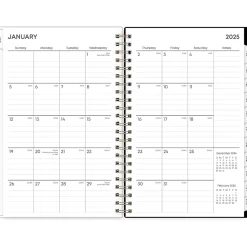 2025 Blue Sky Nevaeh 5