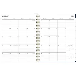 2025 Blue Sky Nightfall 8.5