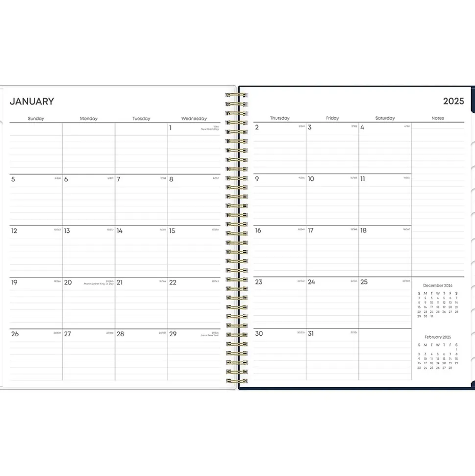 2025 Blue Sky Nightfall 8.5" x 11" Weekly & Monthly Planner, Plastic Cover, Multicolor (150545)