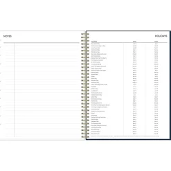 2025 Blue Sky Nightfall 8.5