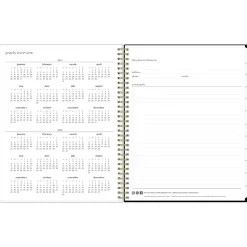 2024-2025 Blue Sky Nyla 8.5