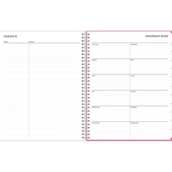 2025 Blue Sky Orchid 8.5