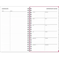 2025 Blue Sky Orchid 5