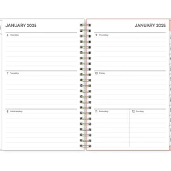 2025 Blue Sky Paradise Again 5" x 8" Weekly & Monthly Planner, Plastic Cover, Multicolor (148331)