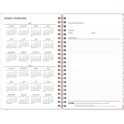 2025 Blue Sky Paradise Again 5