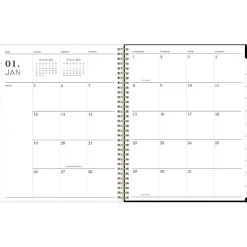 2025 Blue Sky Petiti 8.5