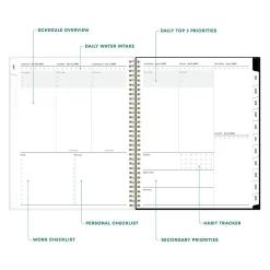 2025 Blue Sky Petiti 8.5