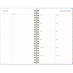 2025 Blue Sky Rachel Parcell Parcella 5