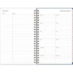 2025 Blue Sky Rachel Parcell Tressa 5