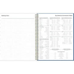 2024-2025 Blue Sky Raquel 8.5