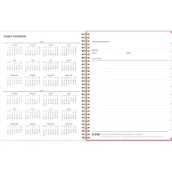 2024-2025 Blue Sky Roosevelt 8.5