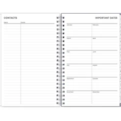 2025 Blue Sky Rue Du Flore 5