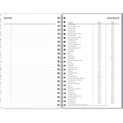 2025 Blue Sky Rue Du Flore 5