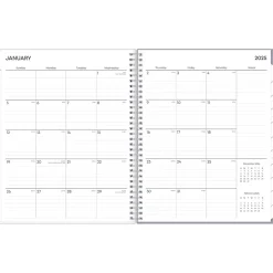 2025 Blue Sky Rue Du Flore 8.5