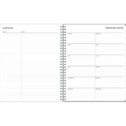 2025 Blue Sky Rue Du Flore 8