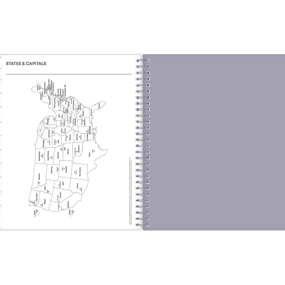 2025 Blue Sky Rue Du Flore 8" x 10" Monthly Planner, Plastic Cover, Green/Gray (101605-25)