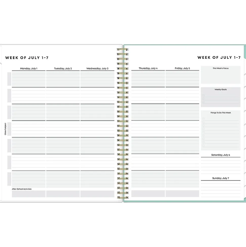 2024-2025 Blue Sky Sandra Check 8.5" x 11" Academic Weekly & Monthly Student Planner, Plastic Cover, Mint Green/White
