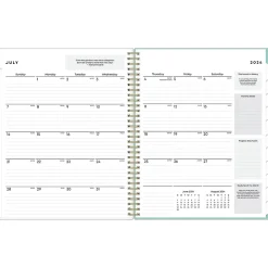 2024-2025 Blue Sky Sandra Check 8.5