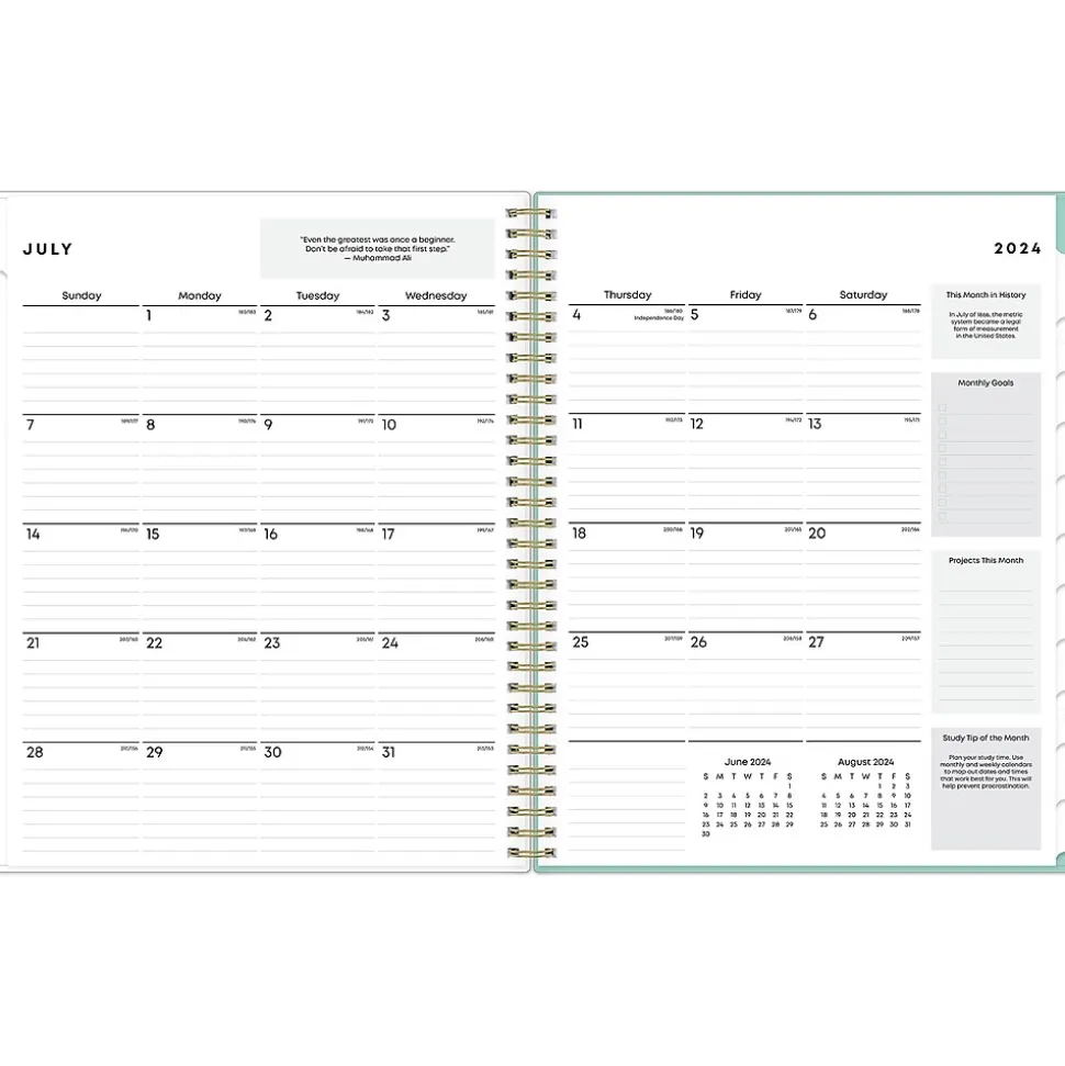 2024-2025 Blue Sky Sandra Check 8.5" x 11" Academic Weekly & Monthly Student Planner, Plastic Cover, Mint Green/White