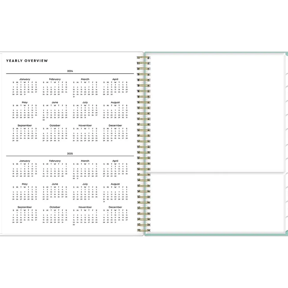 2024-2025 Blue Sky Sandra Check 8.5" x 11" Academic Weekly & Monthly Student Planner, Plastic Cover, Mint Green/White