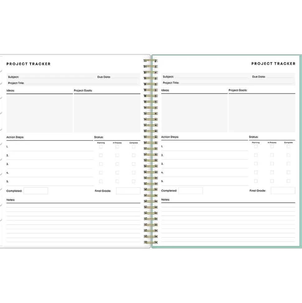 2024-2025 Blue Sky Sandra Check 8.5" x 11" Academic Weekly & Monthly Student Planner, Plastic Cover, Mint Green/White