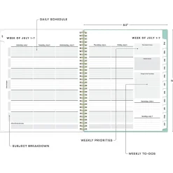 2024-2025 Blue Sky Sandra Check 8.5