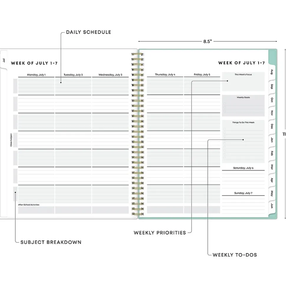 2024-2025 Blue Sky Sandra Check 8.5" x 11" Academic Weekly & Monthly Student Planner, Plastic Cover, Mint Green/White
