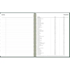 2024-2025 Blue Sky Shining Sky 8.5