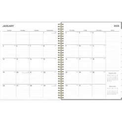 2025 Blue Sky Sophie 8.5