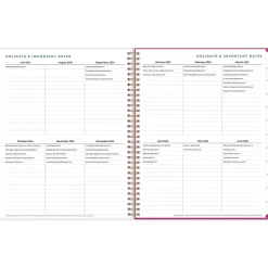 2024-2025 Blue Sky Star Confetti Bright 8.5