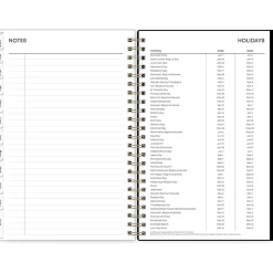 2025 Blue Sky Vonnie 5