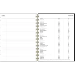 2025 Blue Sky Vonnie 8.5