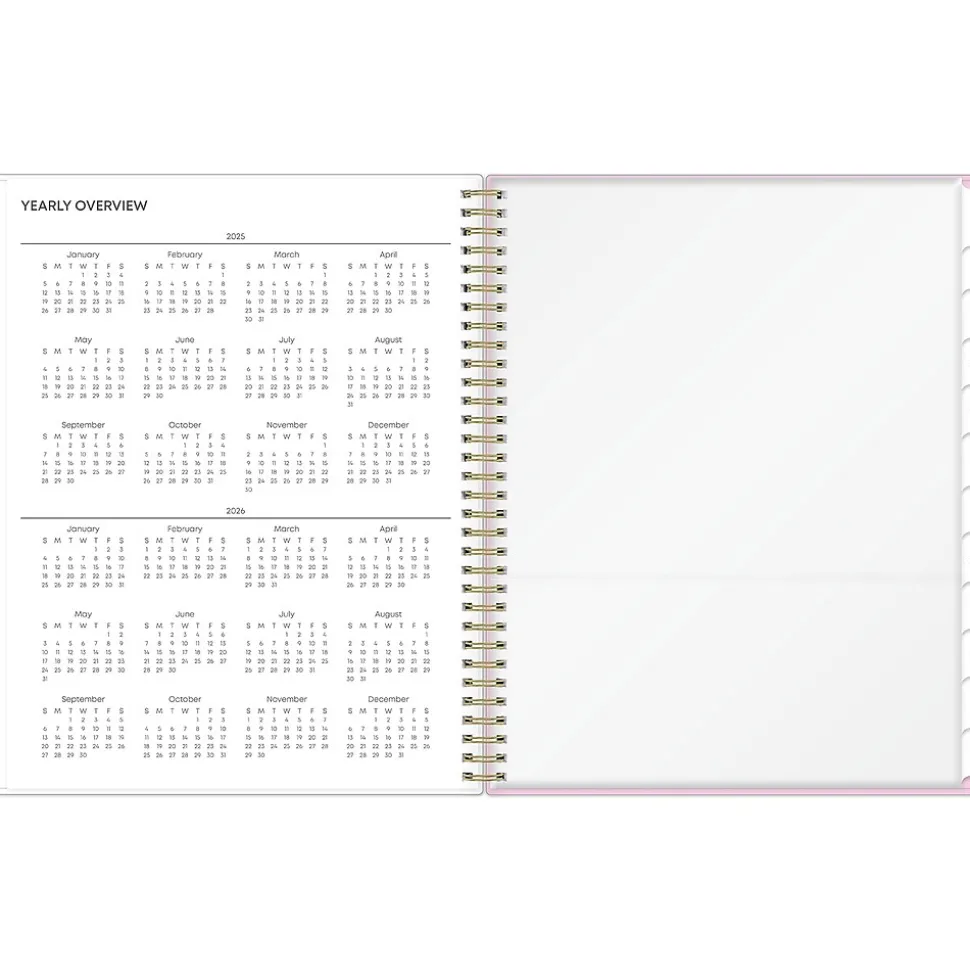 2025 Blue Sky Wednesday Stripe 8.5" x 11" Weekly & Monthly Planner, Plastic Cover, Purple/White (147943)