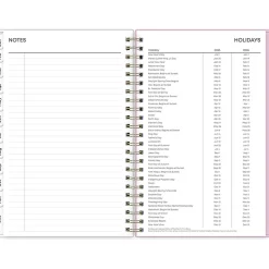2025 Blue Sky Wednesday Stripe 5