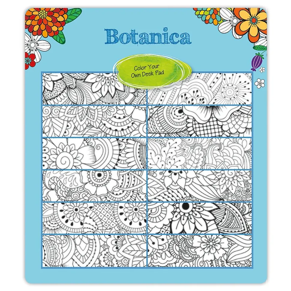 2025 Blueline DoodlePlan Botanica 22" x 17" Monthly Coloring Desk Pad Calendar, White/Black (C2917311)